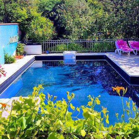 Апартаменти 80 M2 Independant 4 Personnes Direct Gare Ou Aeroport Jardin Piscine Тулуза Екстер'єр фото