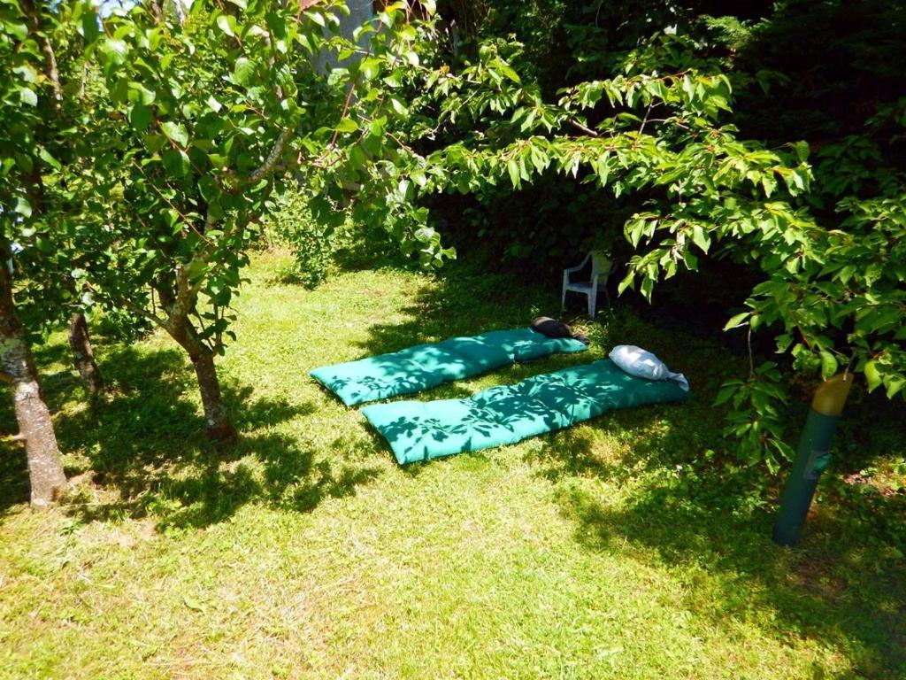 Апартаменти 80 M2 Independant 4 Personnes Direct Gare Ou Aeroport Jardin Piscine Тулуза Екстер'єр фото